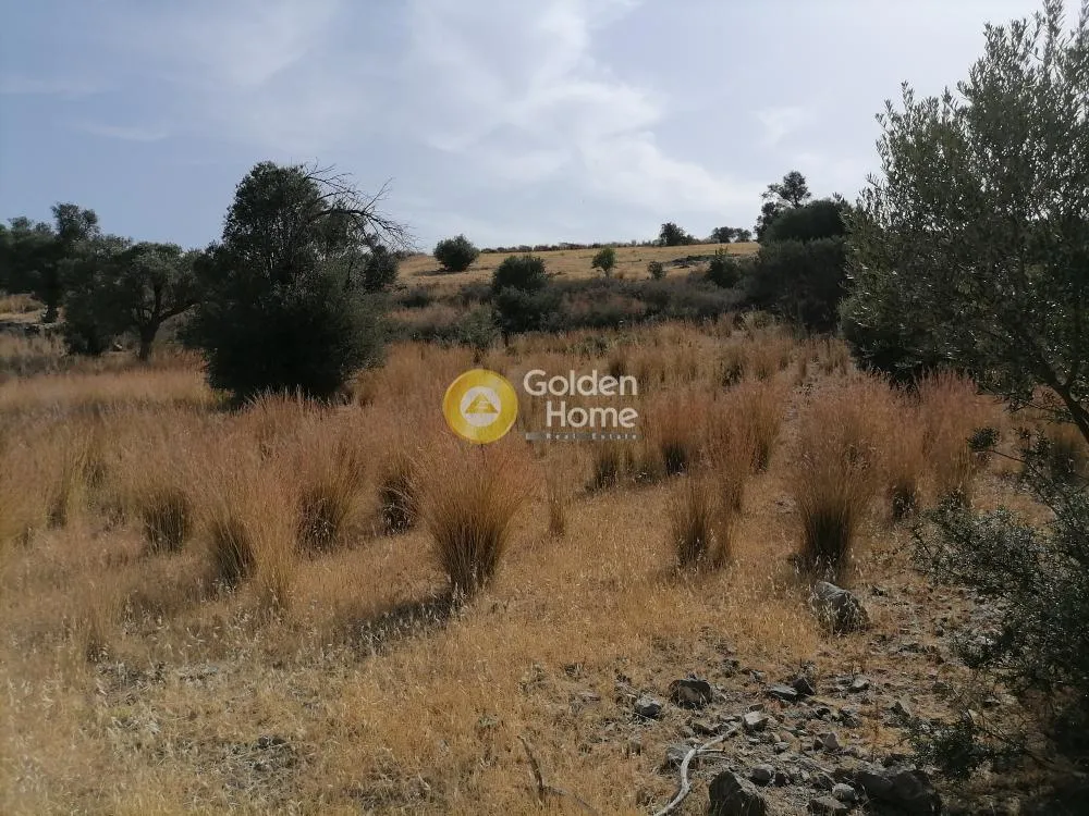 Jardin - Agricultural Plot with Mountain View in Phaistos