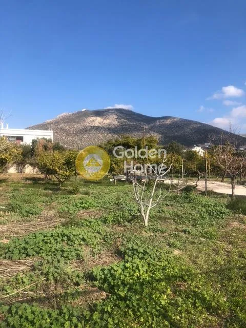 Land in GR