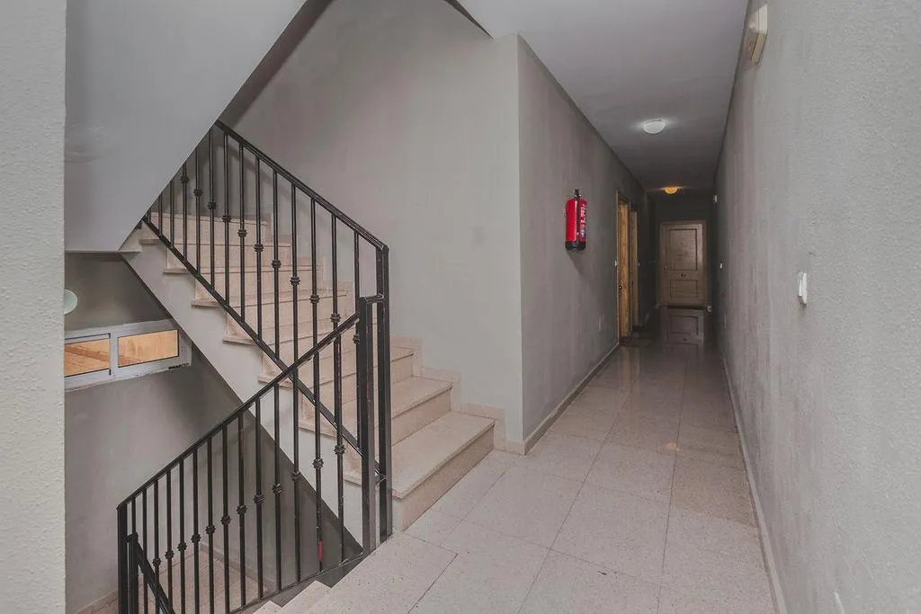 Toad - Occupied Flat with Terrace in Vícar