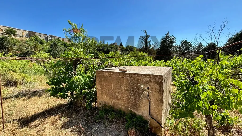 Aed - Villa with Olive Grove in Alimena