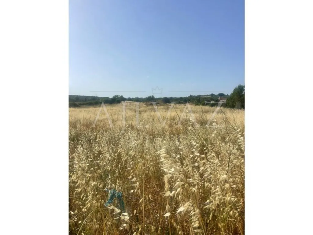 land_plot