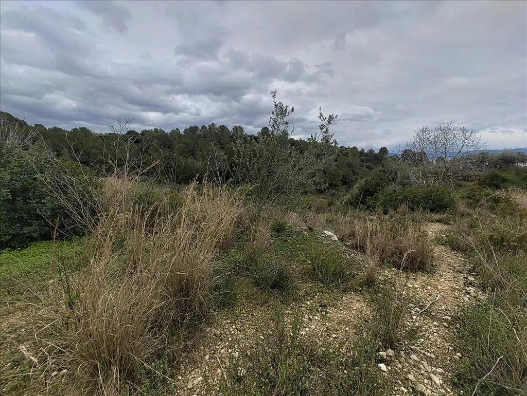 Jardin - Rustic Land with Vineyard in La Llosa de Ranes