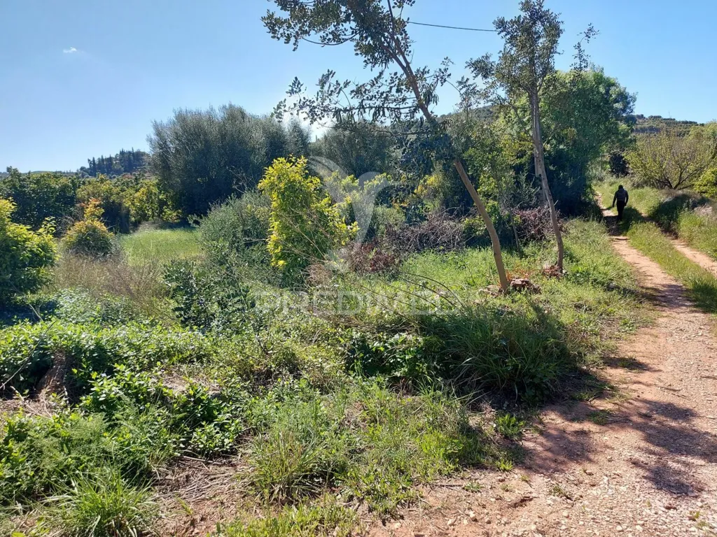 Garden - Agricultural Land with Water Source in Silves
