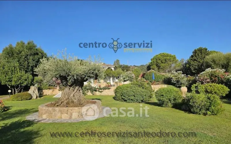 Jardin - Villa with Sea View and Pool in San Teodoro