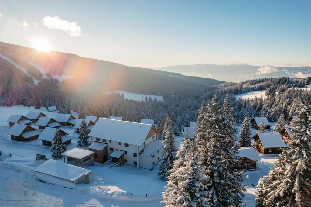 Modern Holiday Complex with Ski-In/Ski-Out in Posch Alpe