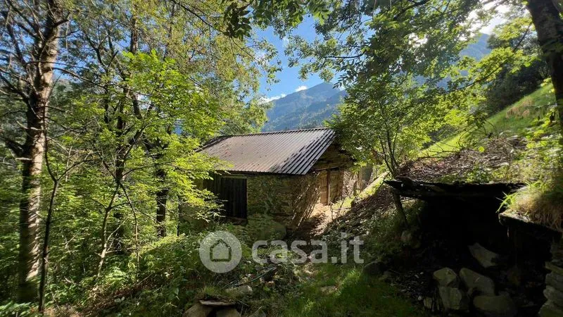 Garden - Rustic Cottage with Garden in Pedesina
