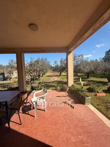 Terrazza - Rustic Villa with Olive Grove in Caltagirone