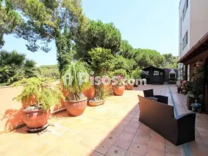 Terrass - Ground Floor Apartment with Private Garden in Lloret de Mar