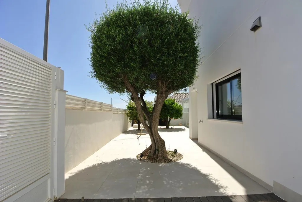 Esterno - Luxury Villa with Pool in La Marina
