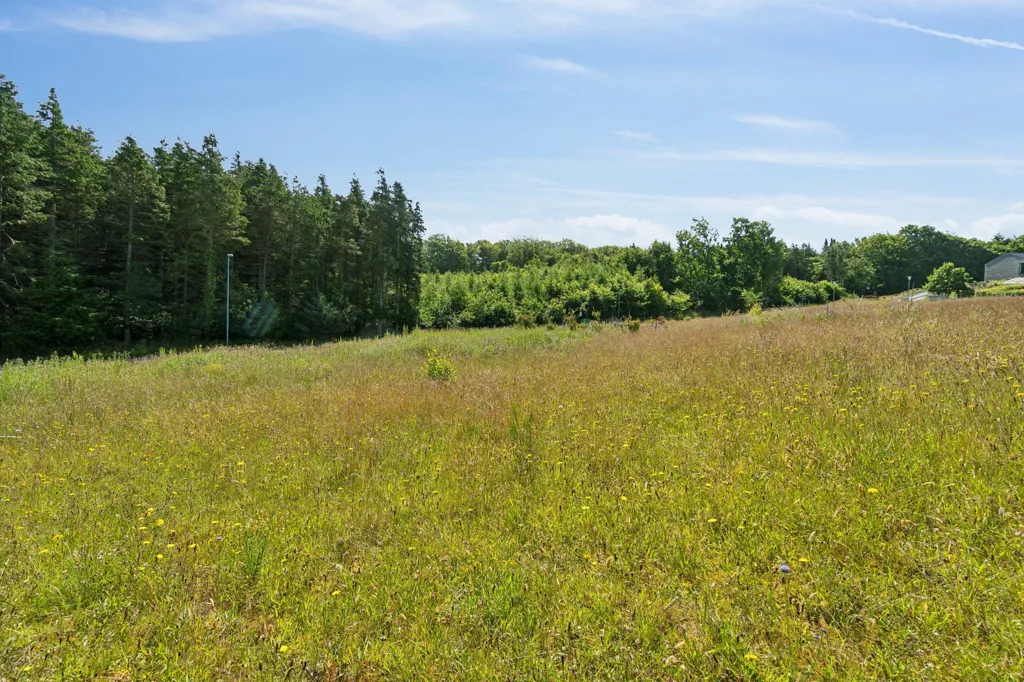 Jardin - Year-Round Plot with 5G Coverage in Mariager