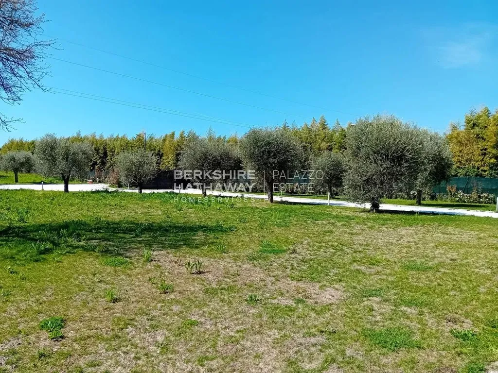 Jardin - Modern Villa with Pool in Pietrasanta