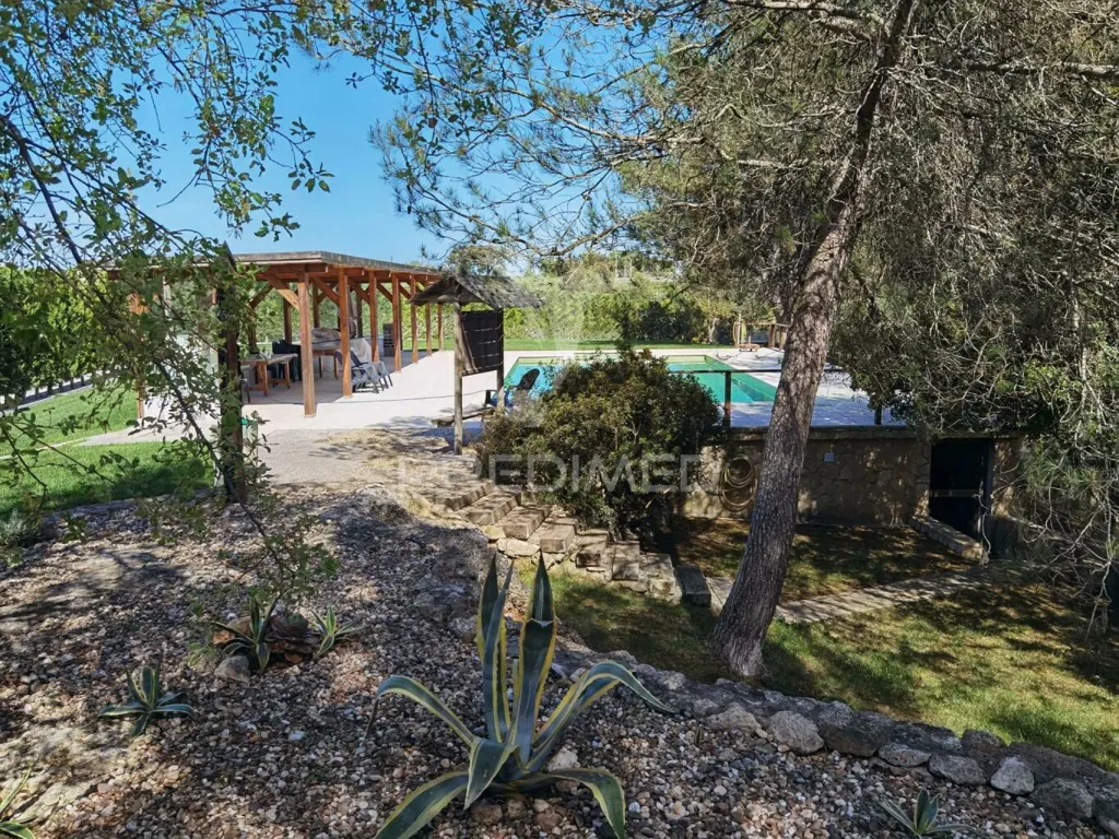 Piscine - Quinta with Olive Grove in Torre do Bispo