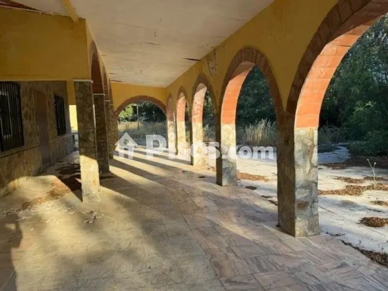 Terrasse - Chalet with Land in Pedanías Norte