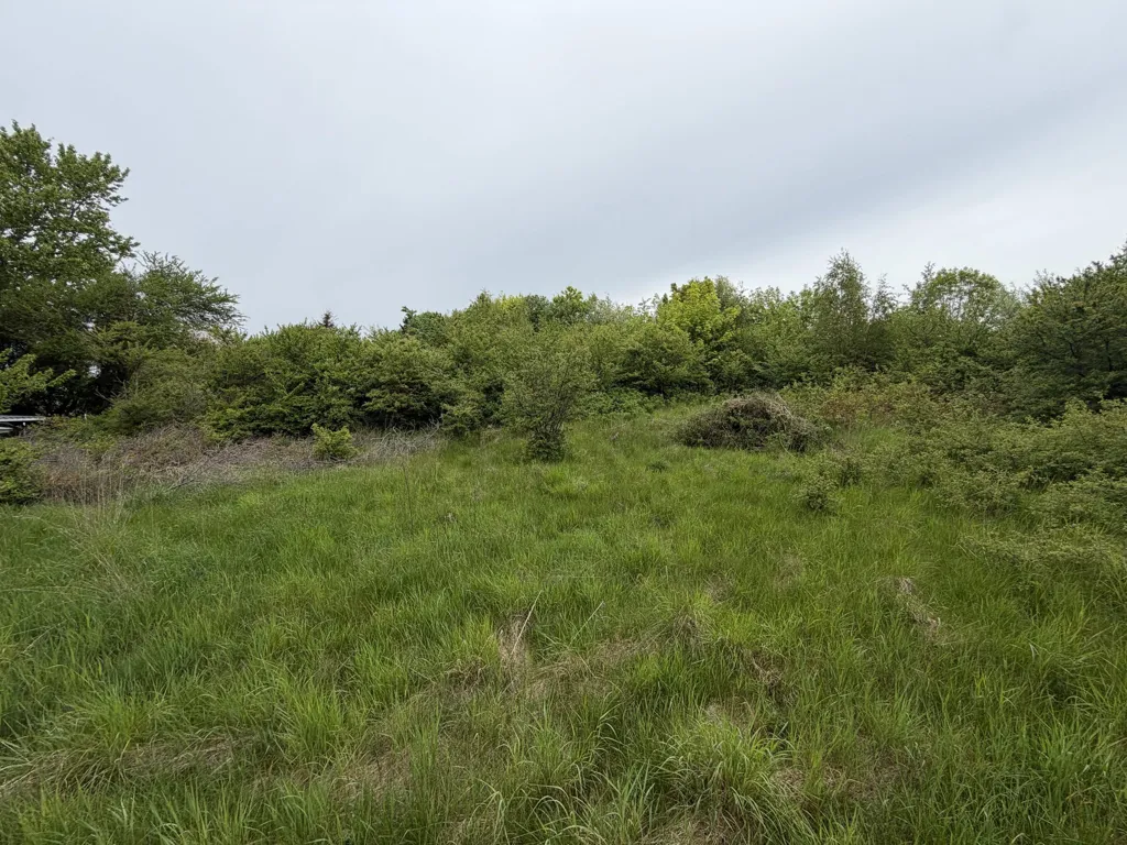 Aed - Vacation Plot in Knebel, Syddjurs