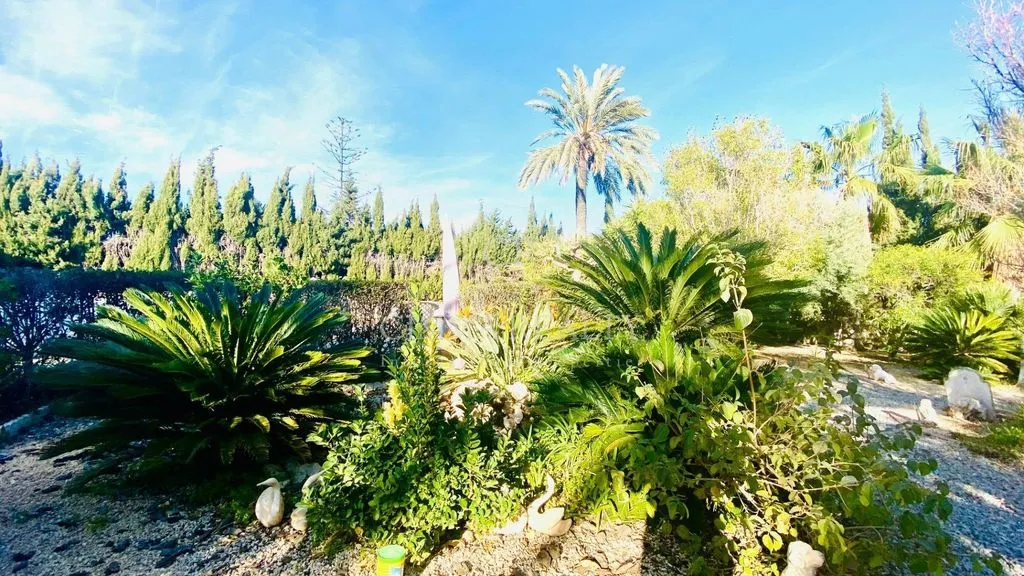 Jardin - Luxury Villa with Sea View in l'Alfàs del Pi