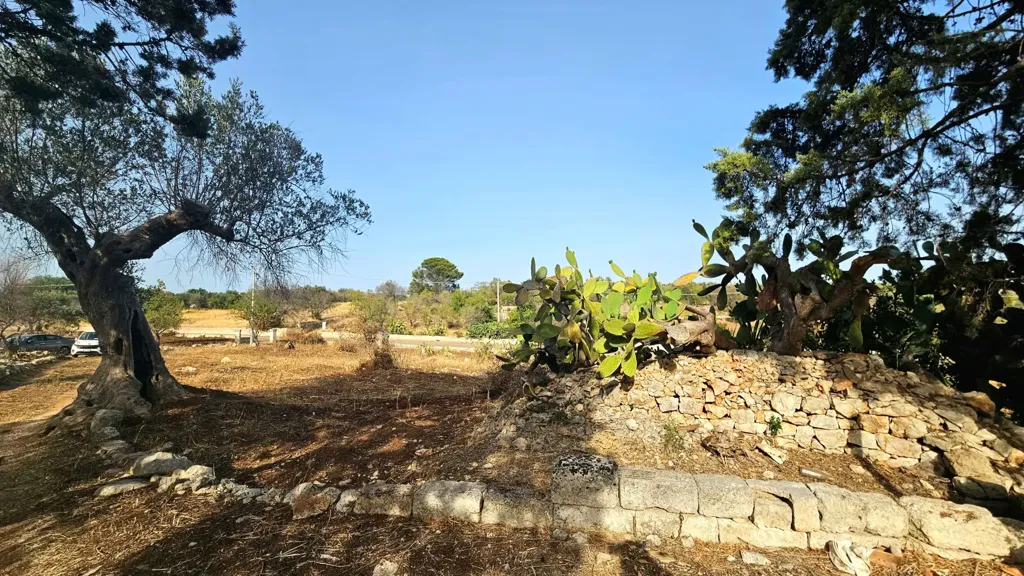 Jardin - Trullo with Olive Grove in Carovigno