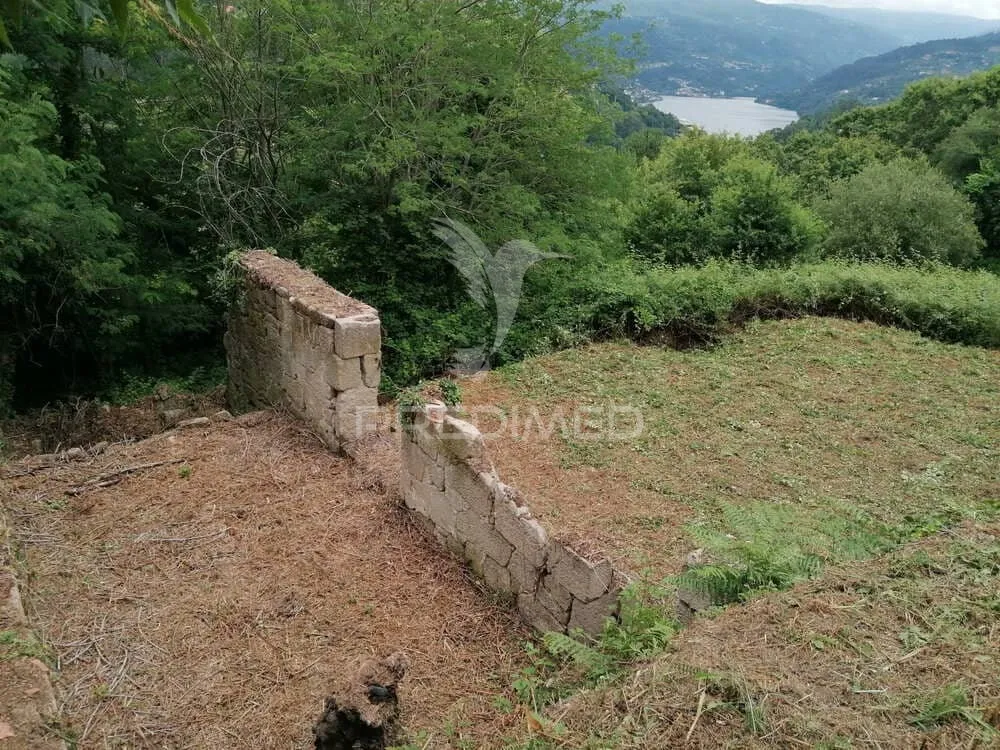 Aed - Rural Quinta with Olive Trees in Douro Region