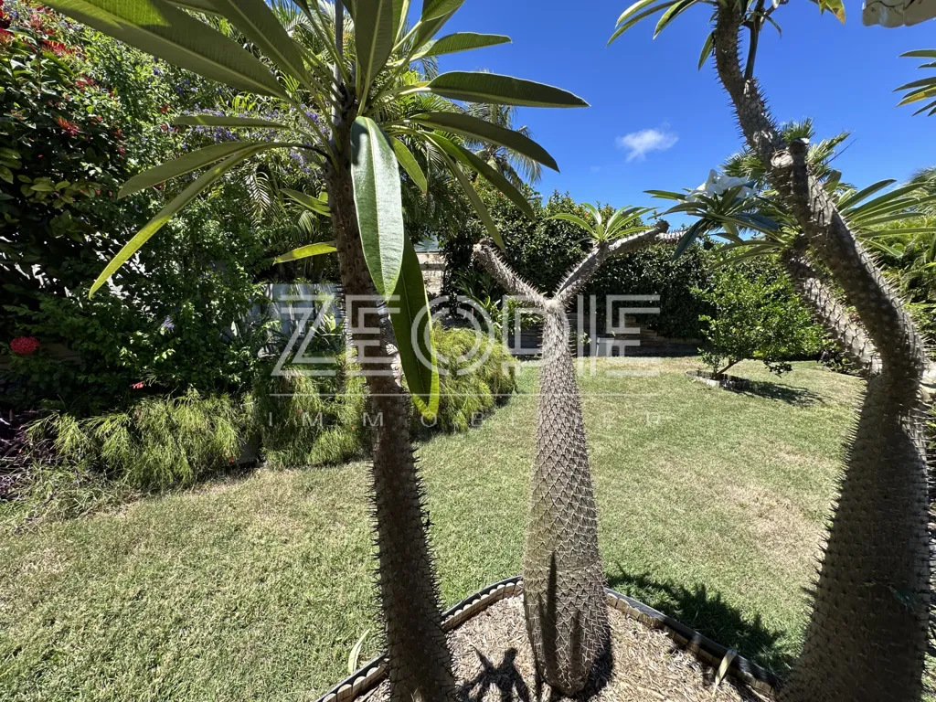 Jardin - Villa d'Architecte avec Piscine à Saint-François