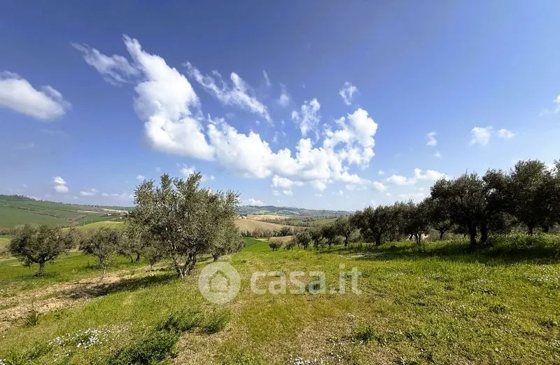 Garden - Rustic Farmhouse with Garden in Loro Piceno