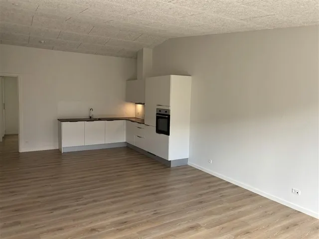 Cuisine - Contemporary Apartment with Balcony in Kolding