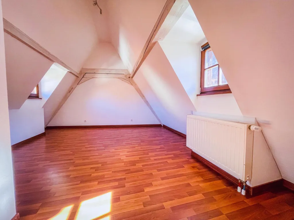 Toad - City Centre Duplex Apartment in Obernai