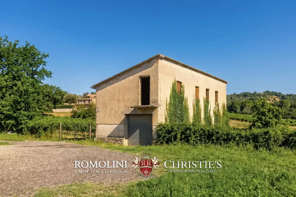 Välivaade - Rustic Casale with Vineyard near Orvieto