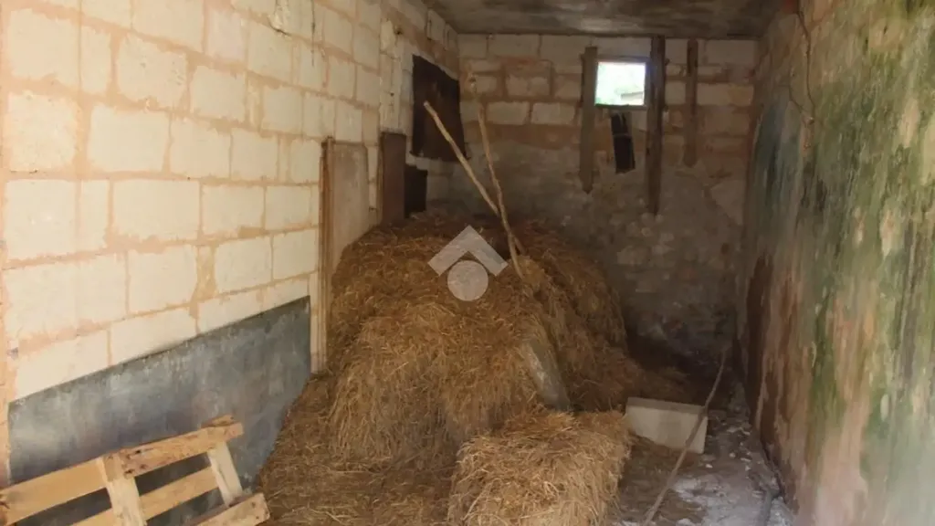 Pesuköök - Traditional House with Garden in Carovigno