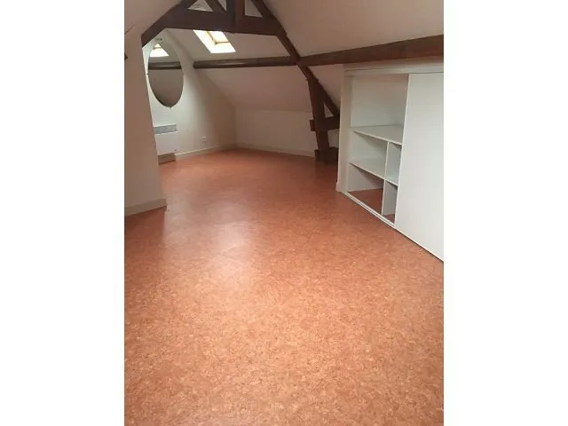 Toad - 2-Bedroom Apartment in Saumur Centre