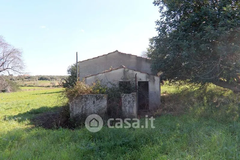 Extérieur - Rustic Casale with Large Land in Ispica