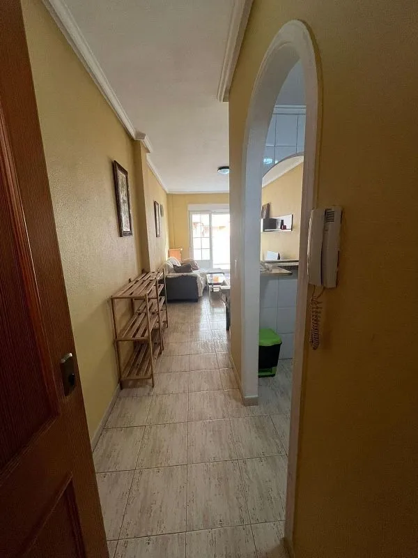Entrée - Penthouse with Pool in El Acequión