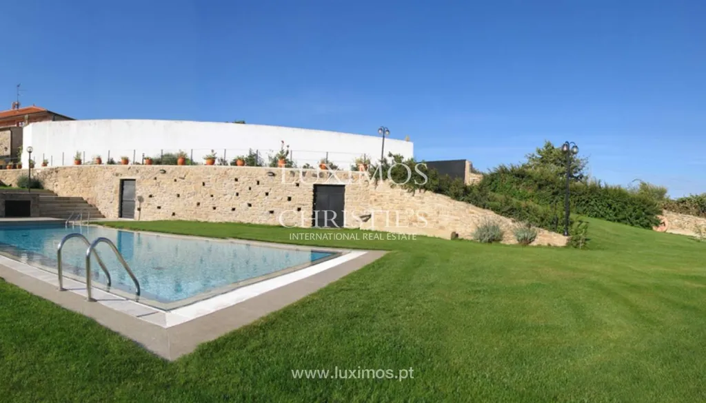 Pool - Rustic Quinta with Agro Tourism in Vimioso