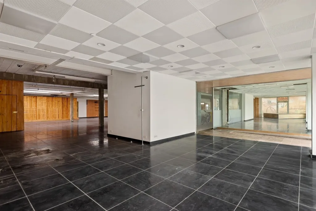Toad - Commercial Space with Residential Option in Duffel