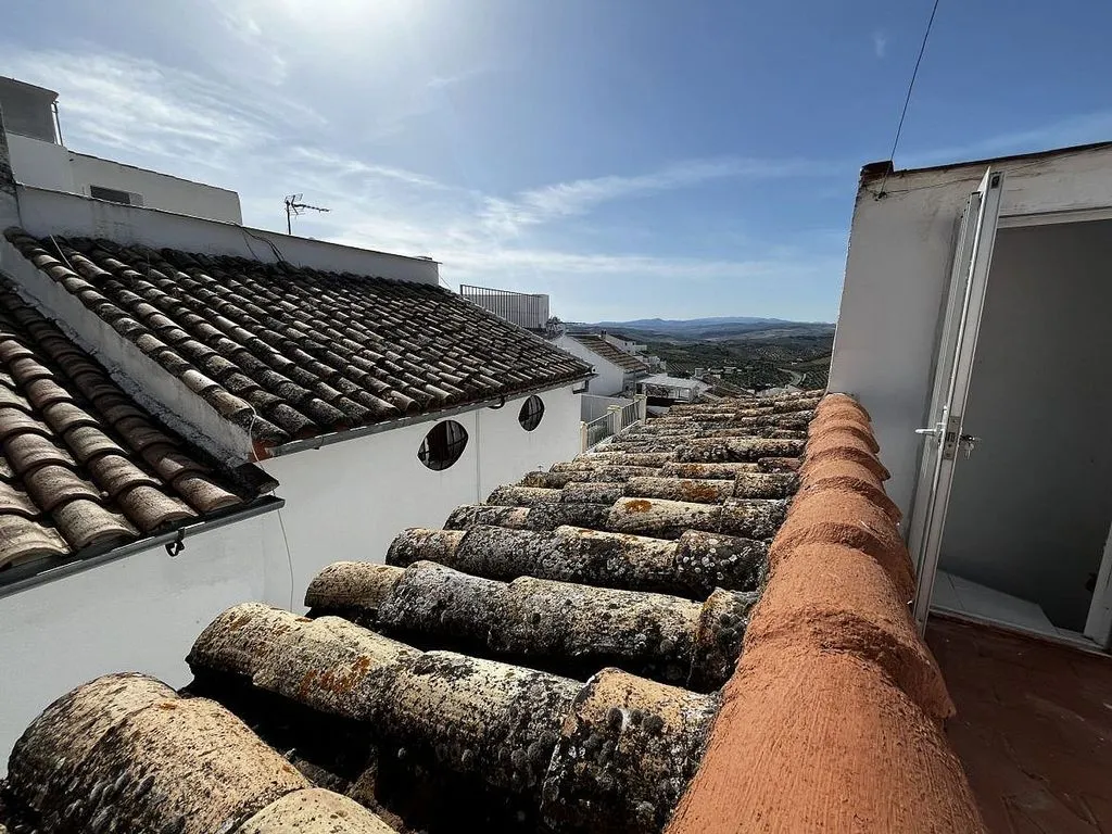 Terrasse - Three-Bedroom House in Olvera