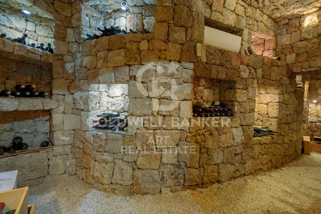 Toad - Contemporary Mediterranean Villa with Panoramic Views in Benahavís