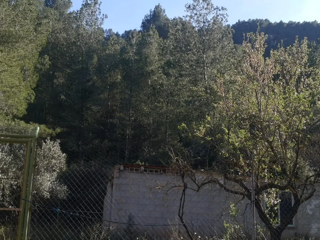 Aed - Detached House with Land in Sierra de Mariola