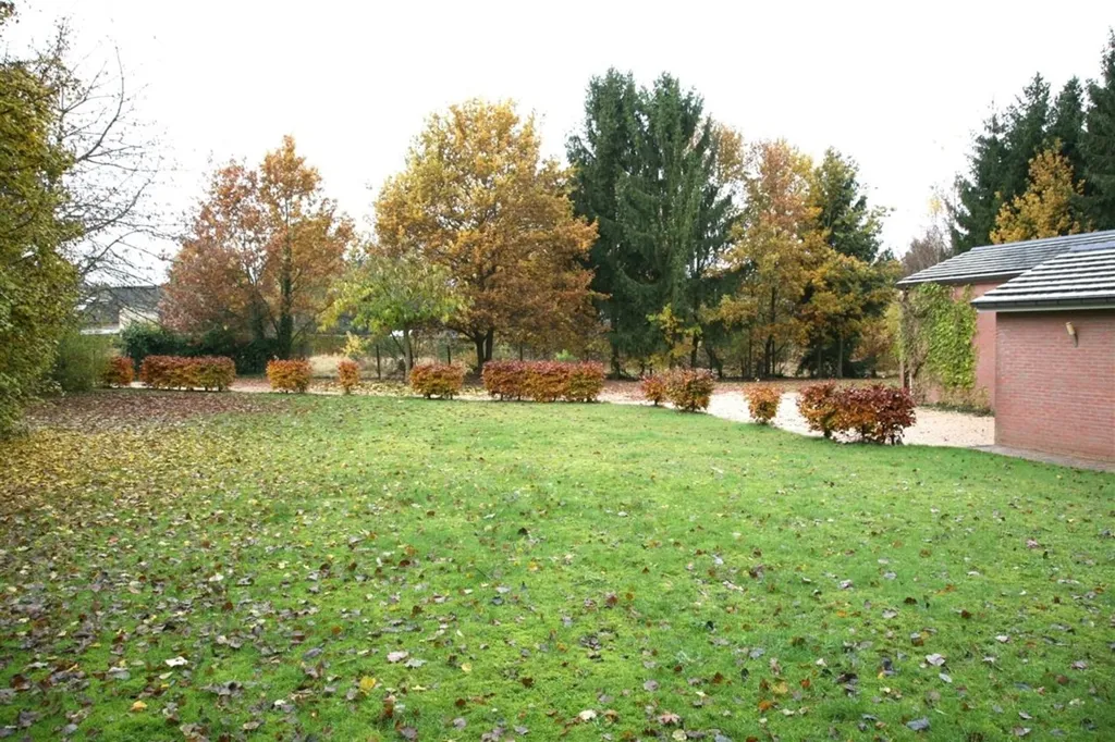 Jardin - Maison de Plain-Pied au Calme avec Terrasse à Bruxelles