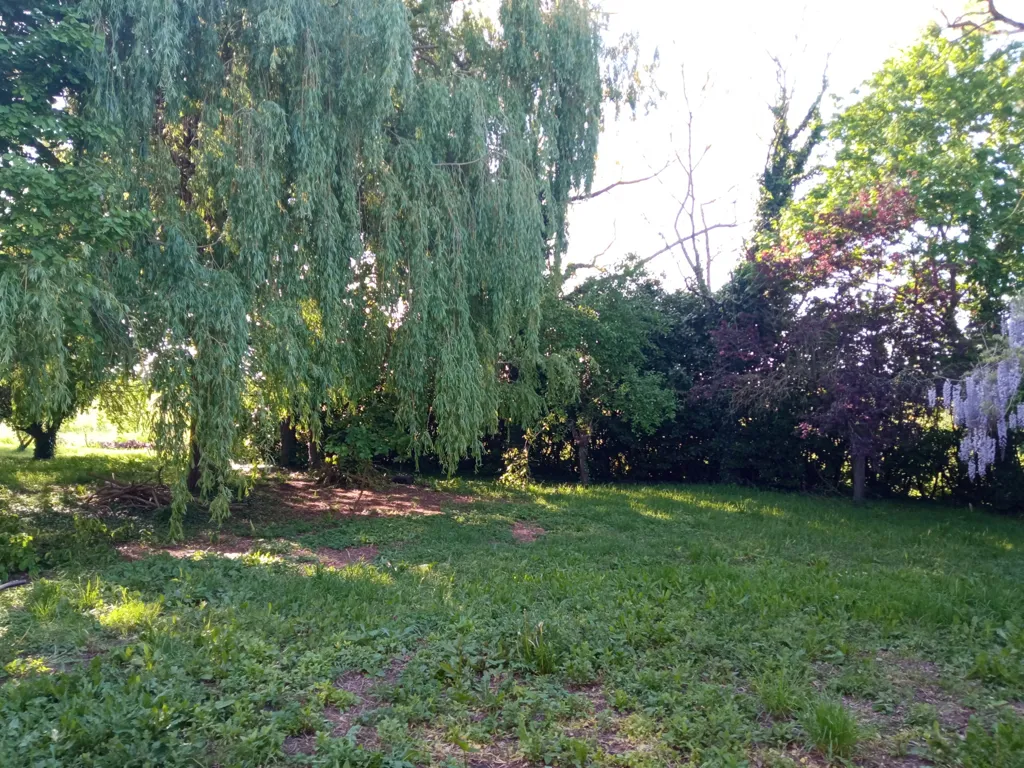 Jardin - Maison à Rénover avec Jardin à Couthures-sur-Garonne