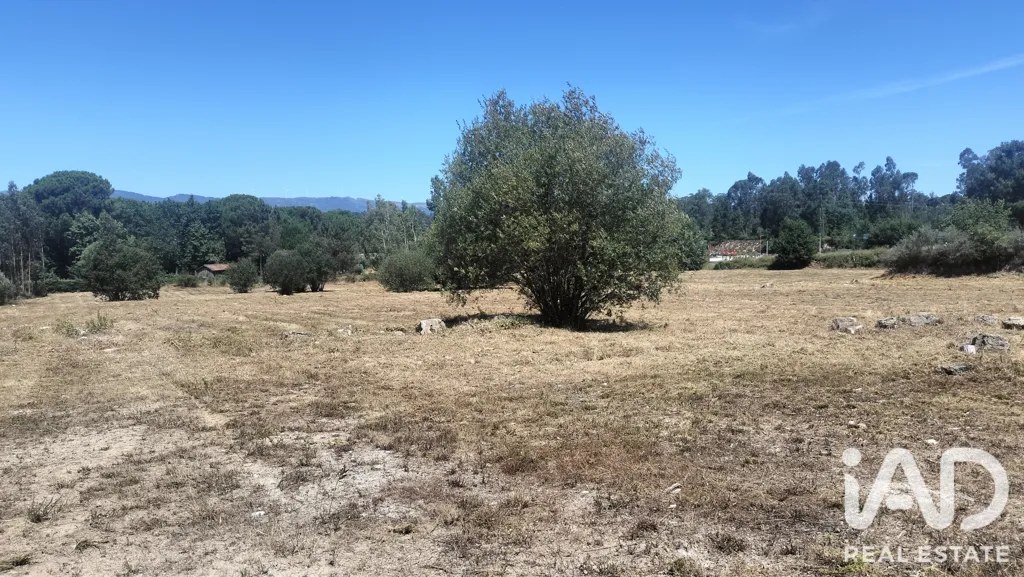 Rural Land with Expansion Potential in Tondela