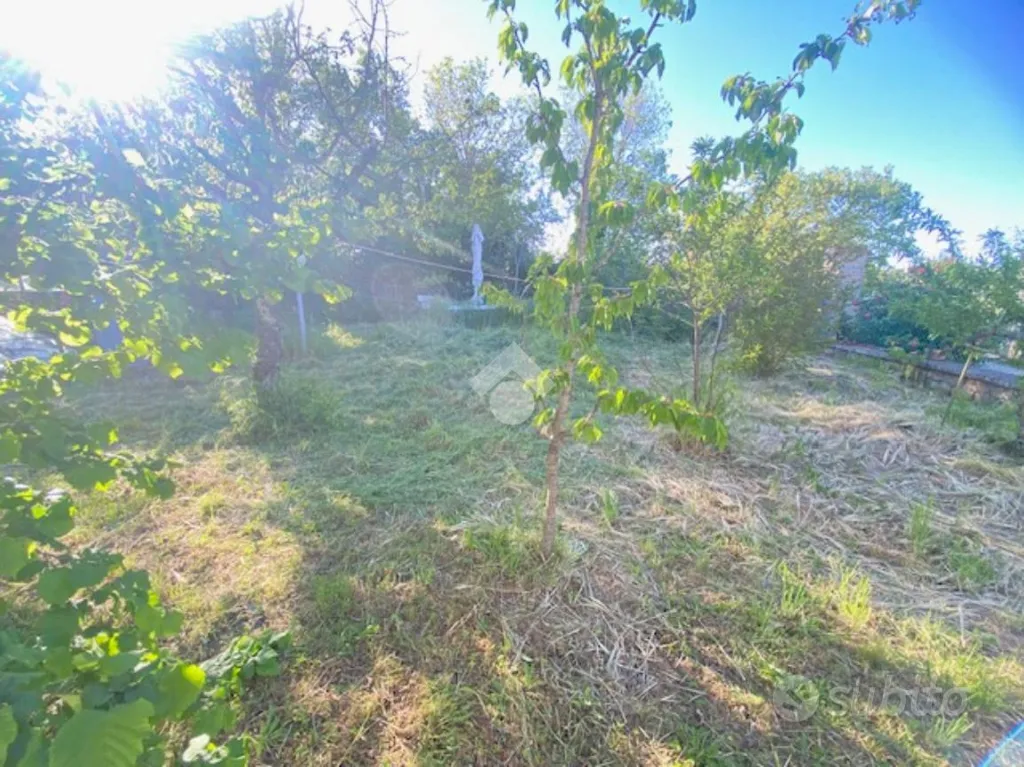Aed - Independent House with Garden in Montefiascone
