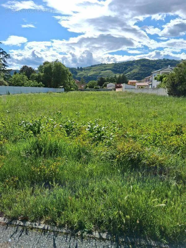 Jardin - Terrain Constructible dans le Secteur de Tournon Sud