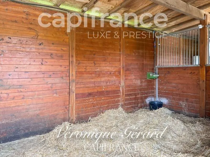Söögituba - Equestrian Property with Longère in Salleboeuf