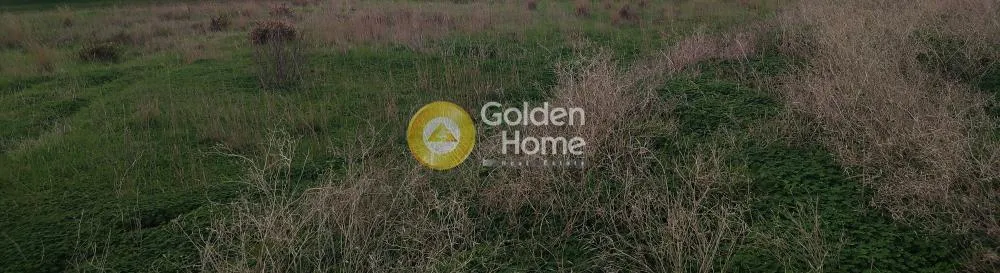 Aed - Agricultural Plot with Sea View in Paros