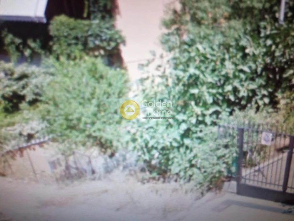 Garden - Detached Villa with Garden in Glyfada
