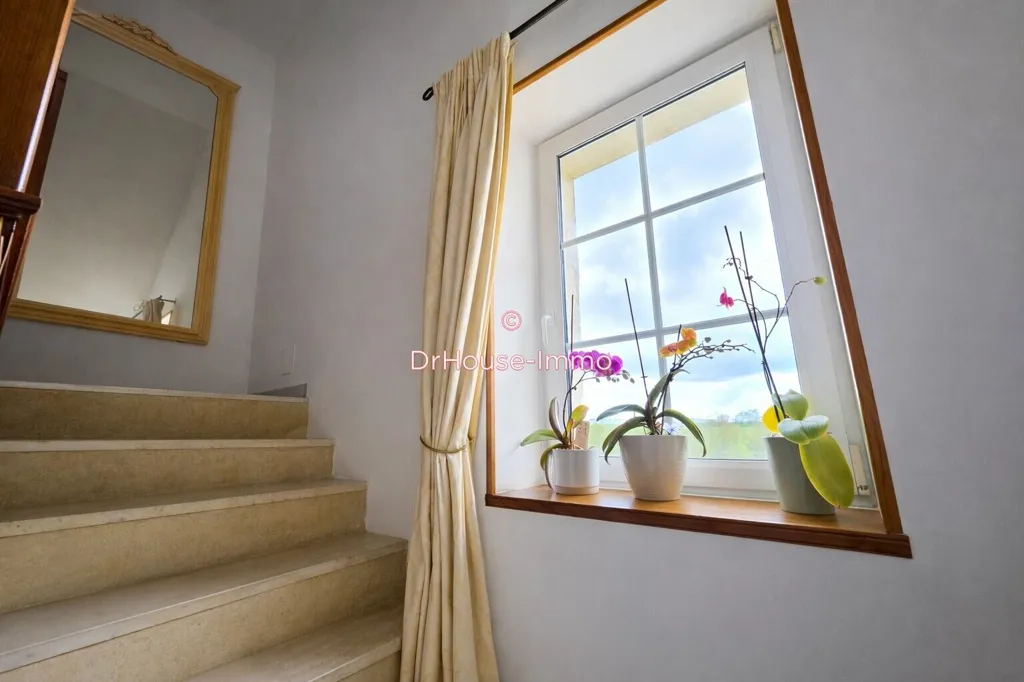Toad - Character House with Equestrian Facilities in Rural Setting
