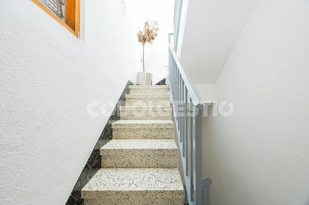 Toad - Three-Bedroom House with Terrace in Torelló
