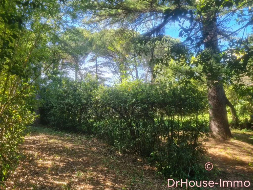 Jardin - Maison avec Piscine et Jardin à Ales