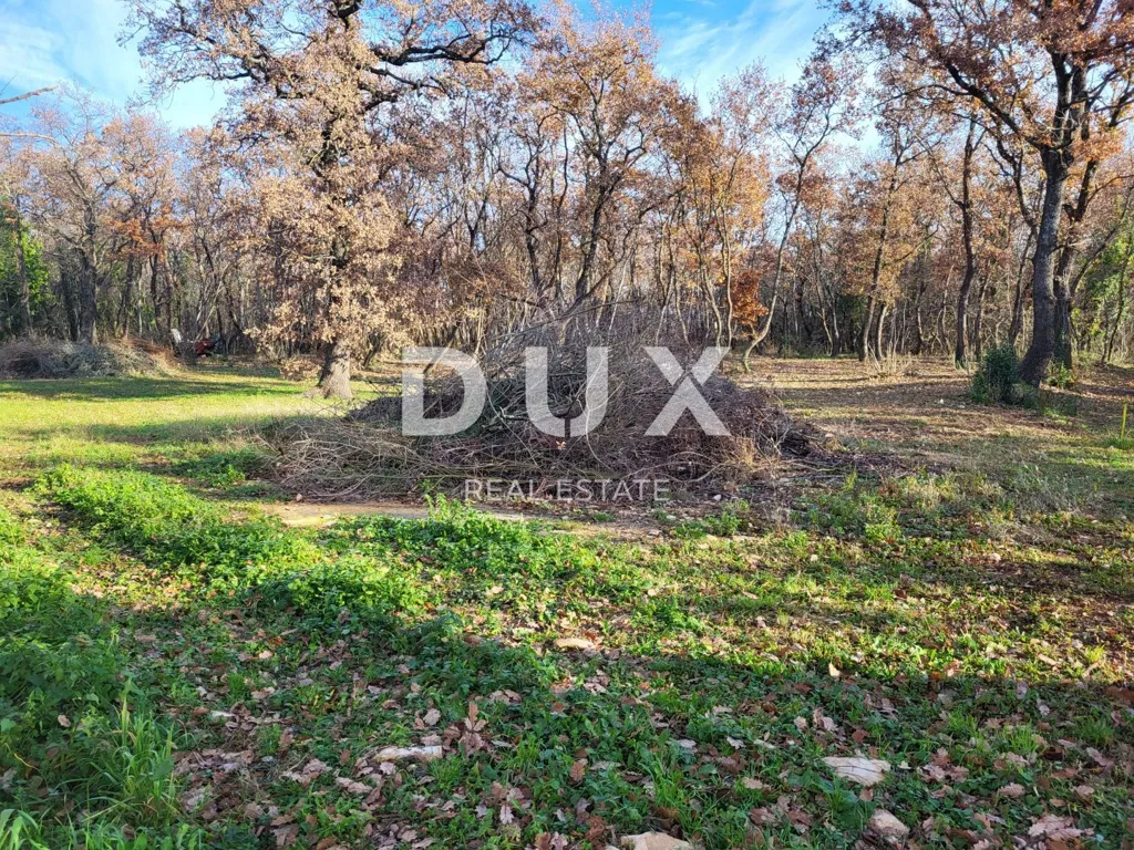 Giardino - Planned Development with Agricultural Land in Umag