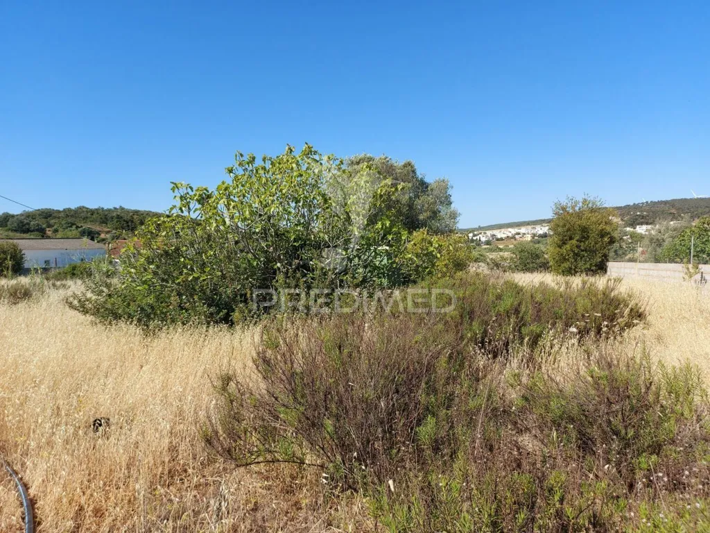 Aed - Delimited Land with Fruit Trees near Lagos