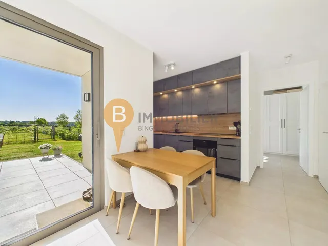 Terrace - Modern Apartment with Terrace in Nospelt