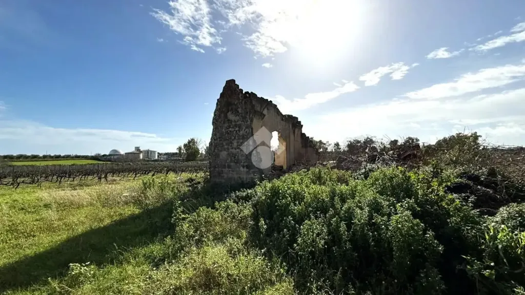 Aed - Traditional Rustico with Character in Mesagne